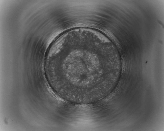 X0000103140896200809121751