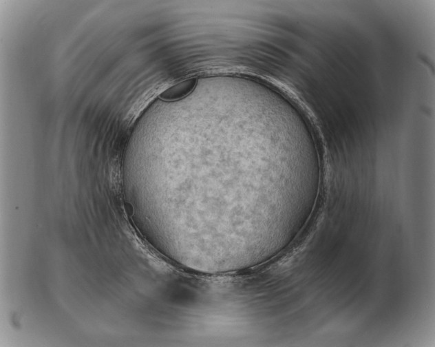 X0000103140897200809121751