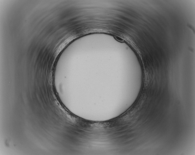 X0000103140898200809121751