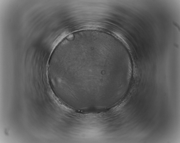 X0000103140899200809121751