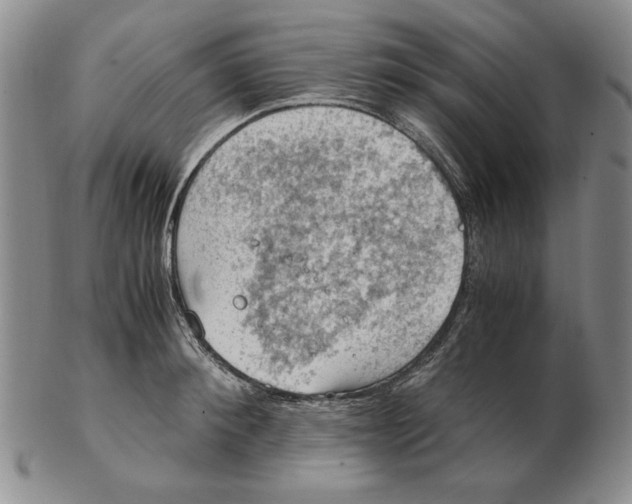 X0000103140900200809121751