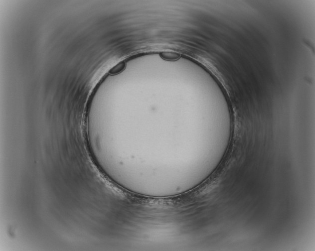 X0000103140901200809121751