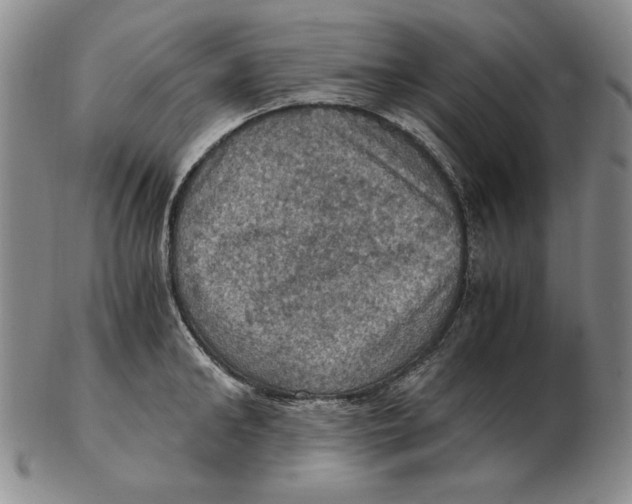 X0000103140902200809121751