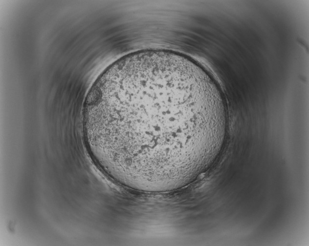 X0000103140903200809121751