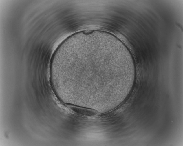 X0000103140904200809121751