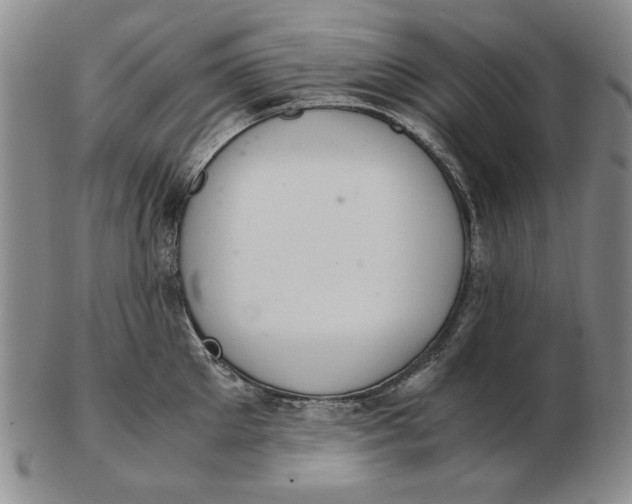 X0000103140905200809121751