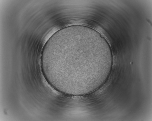 X0000103140906200809121751