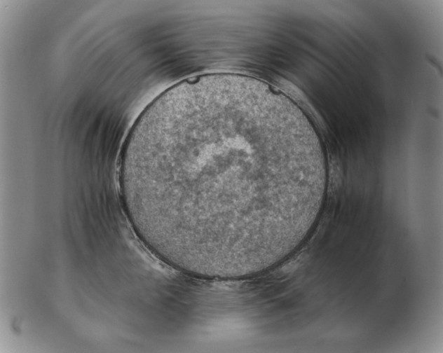 X0000103140908200809121751