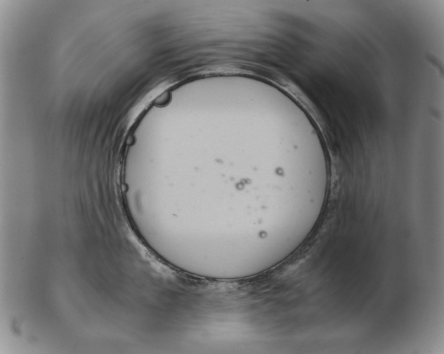 X0000103140909200809121751