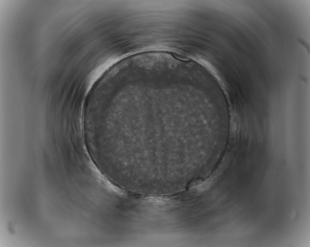 X0000103140910200809121751