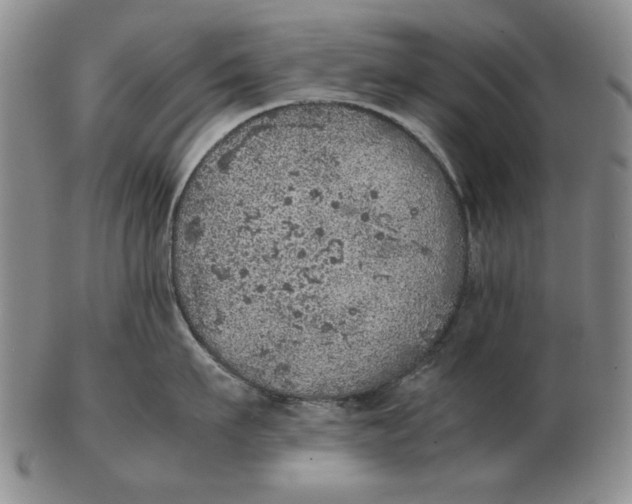 X0000103140911200809121751