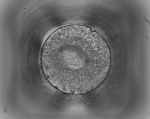 X0000103140912200809121751