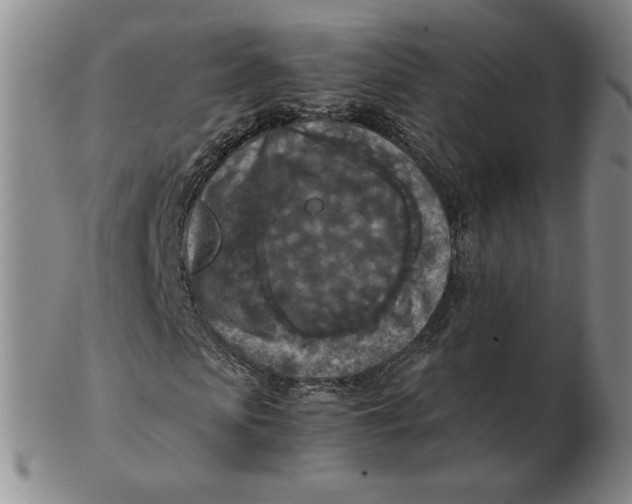 X0000103140913200809121750