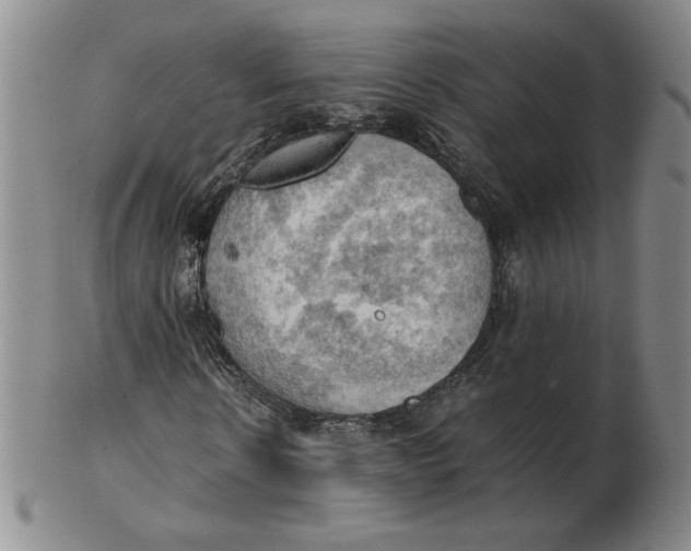 X0000103140914200809121750