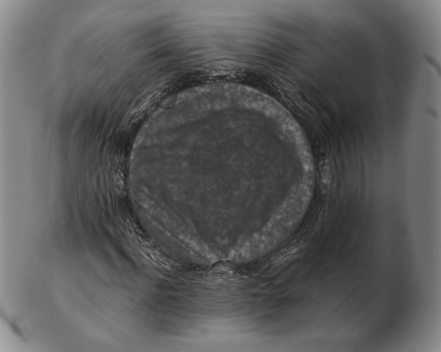 X0000103140916200809121750