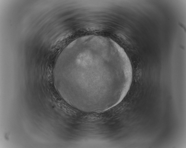 X0000103140917200809121750