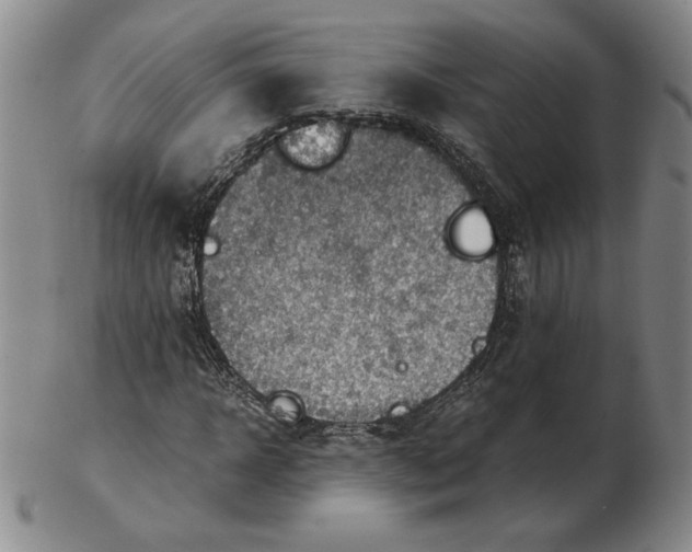 X0000103140918200809121750