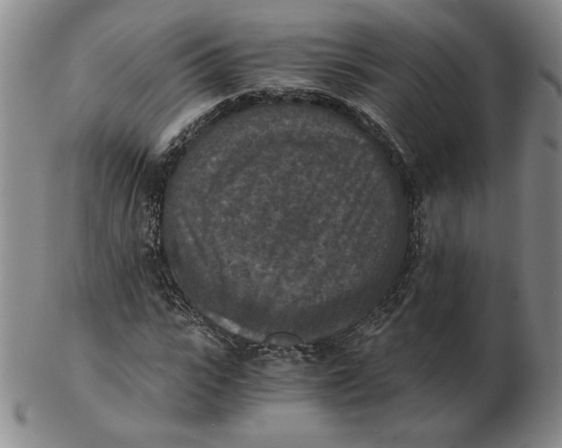 X0000103140919200809121750