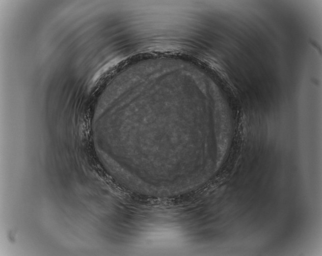 X0000103140920200809121750