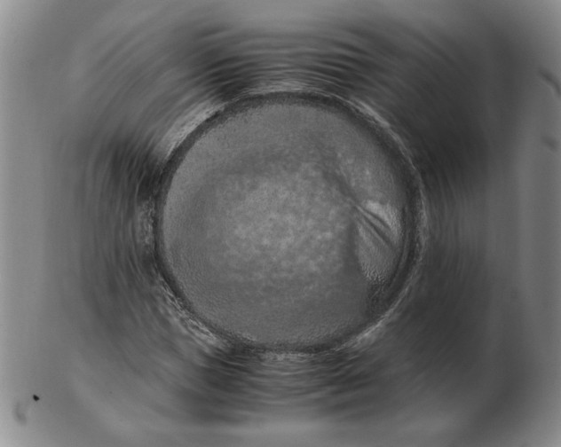 X0000103140921200809121750