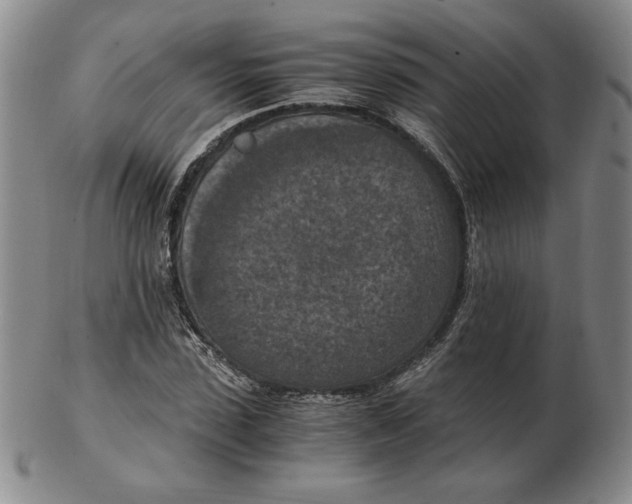 X0000103140923200809121750