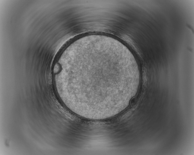 X0000103140924200809121750