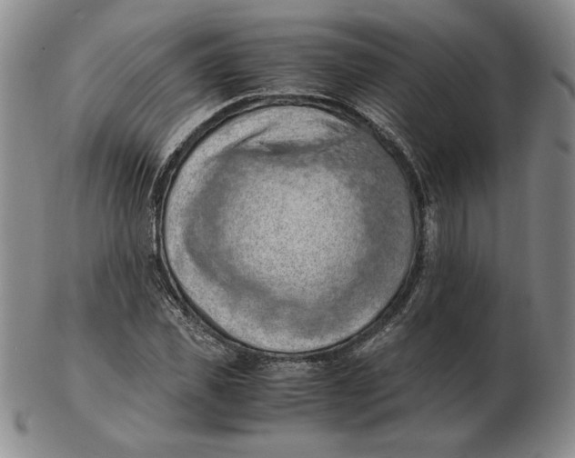 X0000103140925200809121750