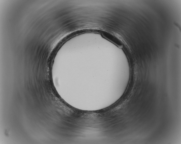 X0000103140926200809121750