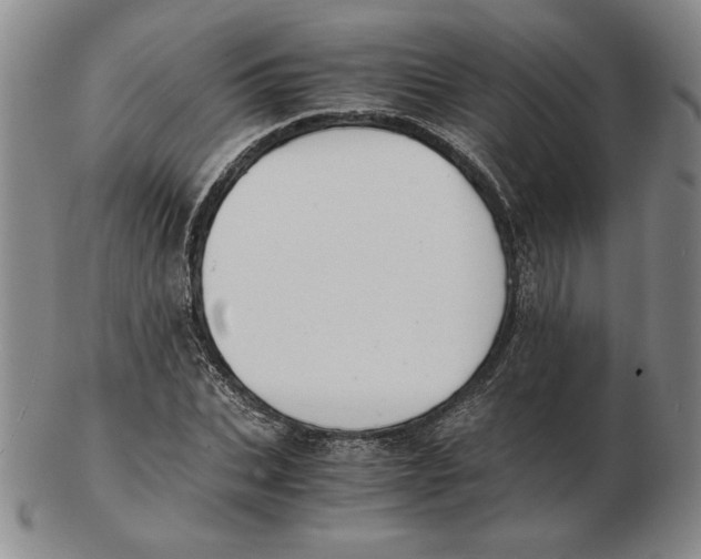 X0000103140927200809121750