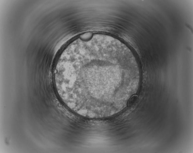 X0000103140928200809121750