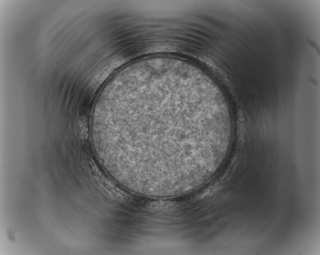 X0000103140929200809121750