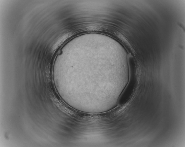 X0000103140930200809121750