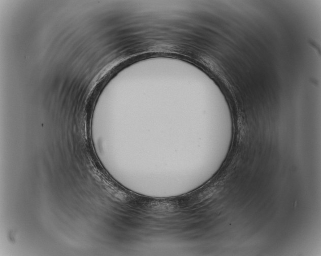 X0000103140931200809121751