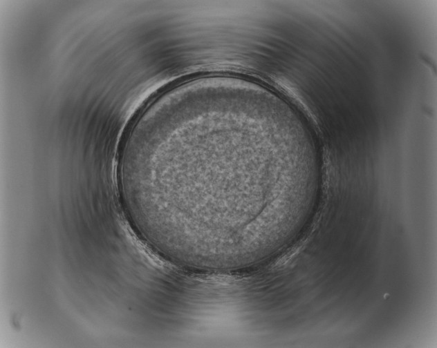 X0000103140932200809121751