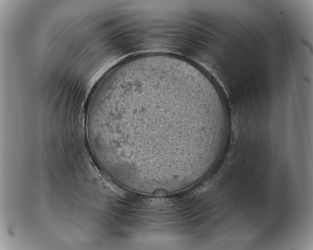 X0000103140933200809121751