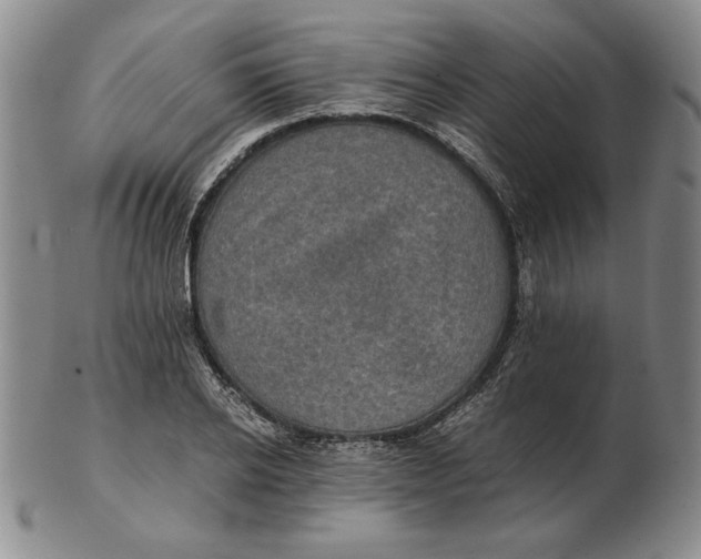 X0000103140934200809121751