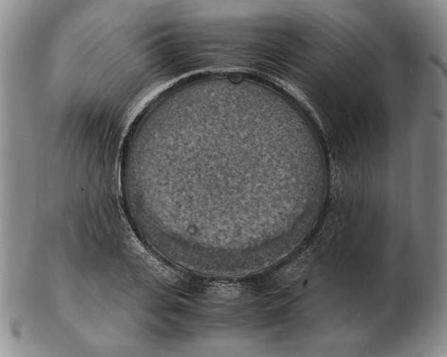 X0000103140935200809121751