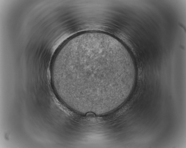 X0000103140936200809121751