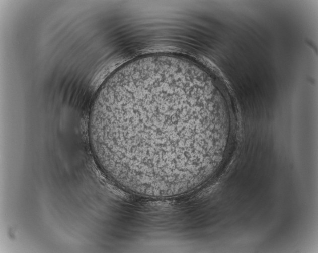 X0000103140937200809121751