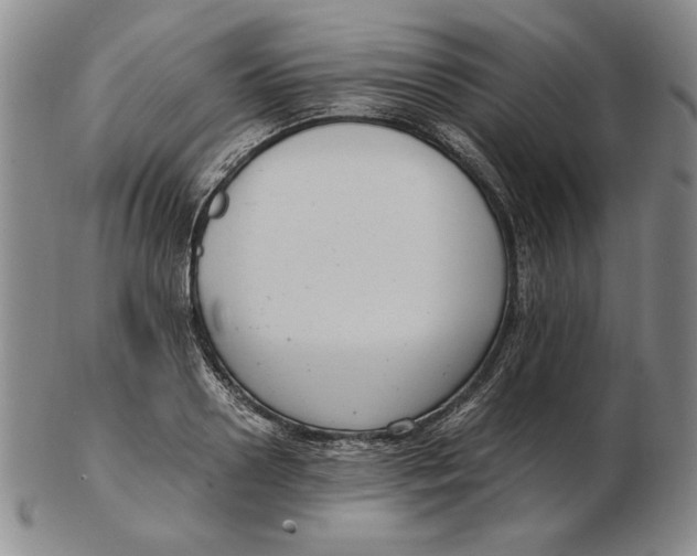 X0000103140938200809121751