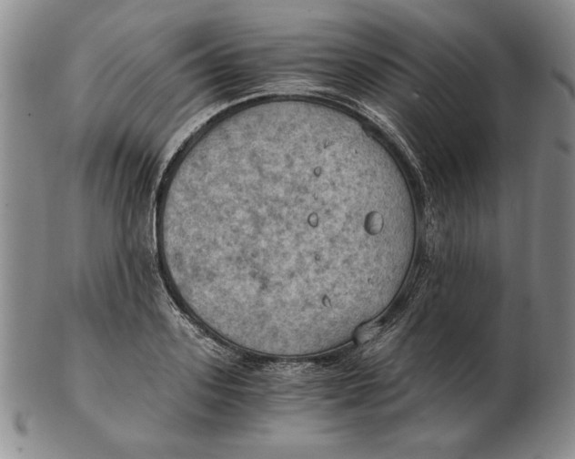 X0000103140939200809121751