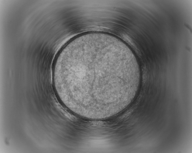 X0000103140940200809121751