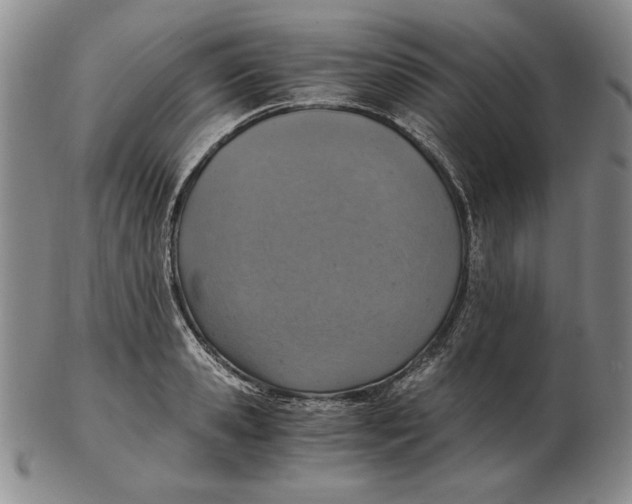 X0000103140941200809121751