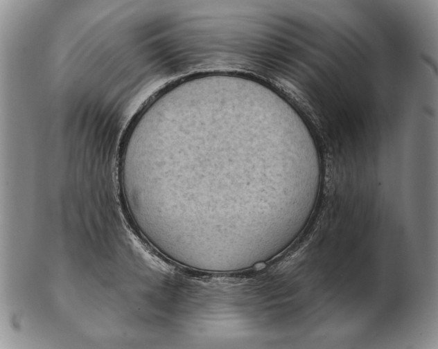 X0000103140942200809121751