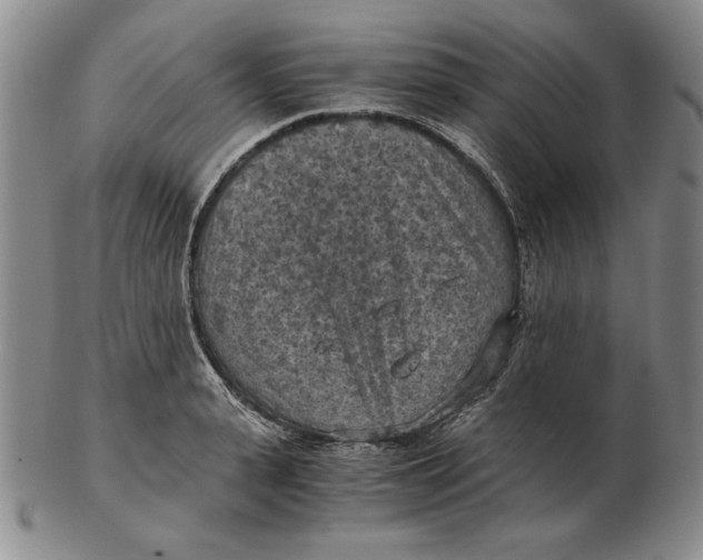 X0000103140943200809121751