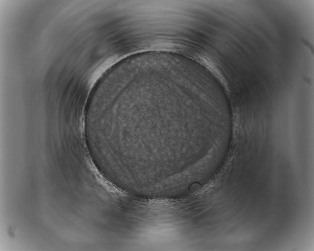 X0000103140944200809121751