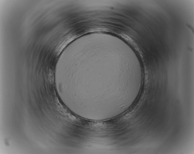 X0000103140945200809121751