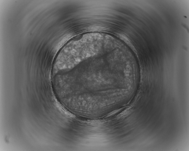 X0000103140946200809121751