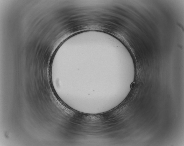 X0000103140947200809121751