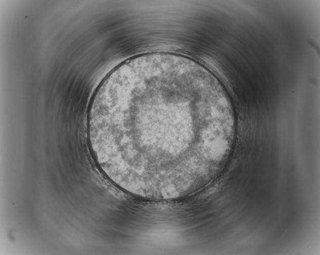 X0000103140948200809121751